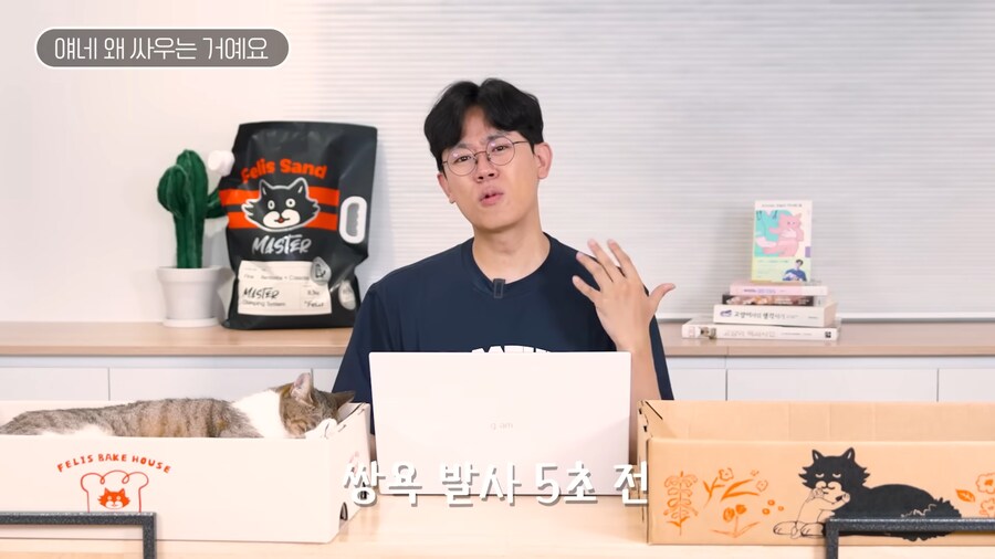 고양이 밈을 본 수의사 반응.jpg_5.png