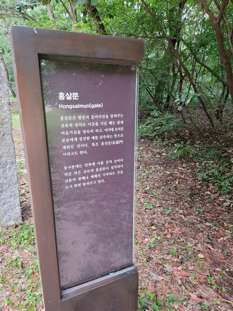 #구리시 동구릉_8.jpg