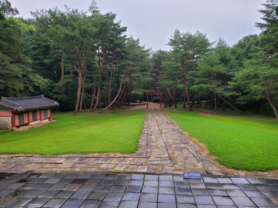 #구리시 동구릉_16.jpg