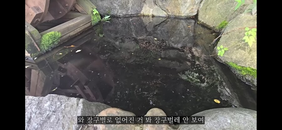 모기 서식지에 미꾸라지 풀면 생기는 일.gif_20.jpg