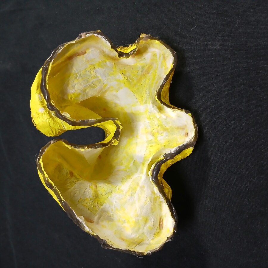 만들기) 헤엄치는 황금 말미잘!_11.jpg