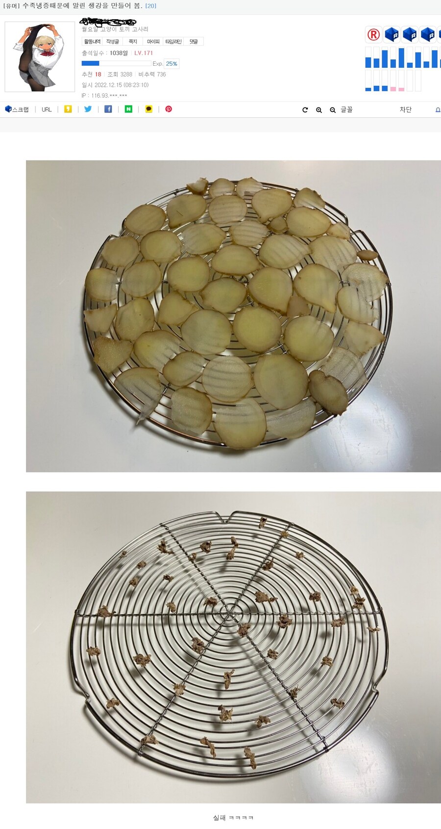 전기파리채에 타죽은 나방_1.jpg