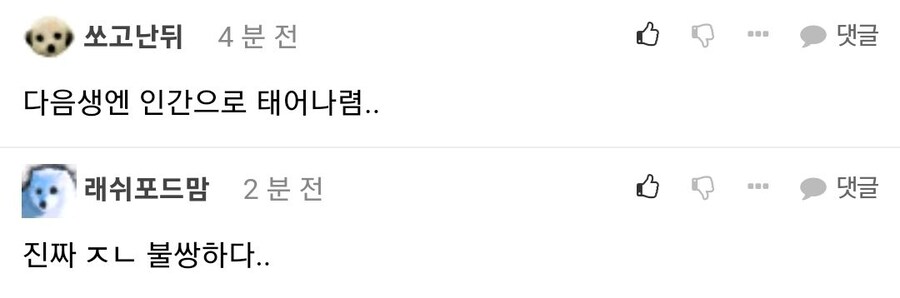 ???:집사야, 여기 있던거 어디갔냥...?_4.jpg