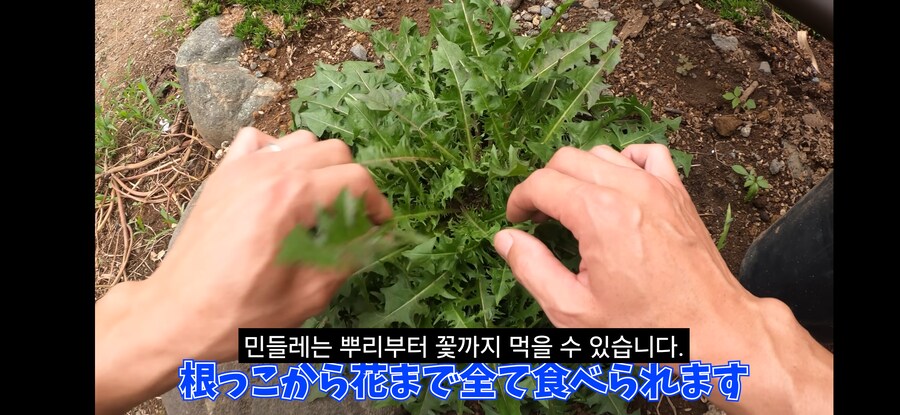돌솥비빔밥 만드는 일본인.youtube_11.png