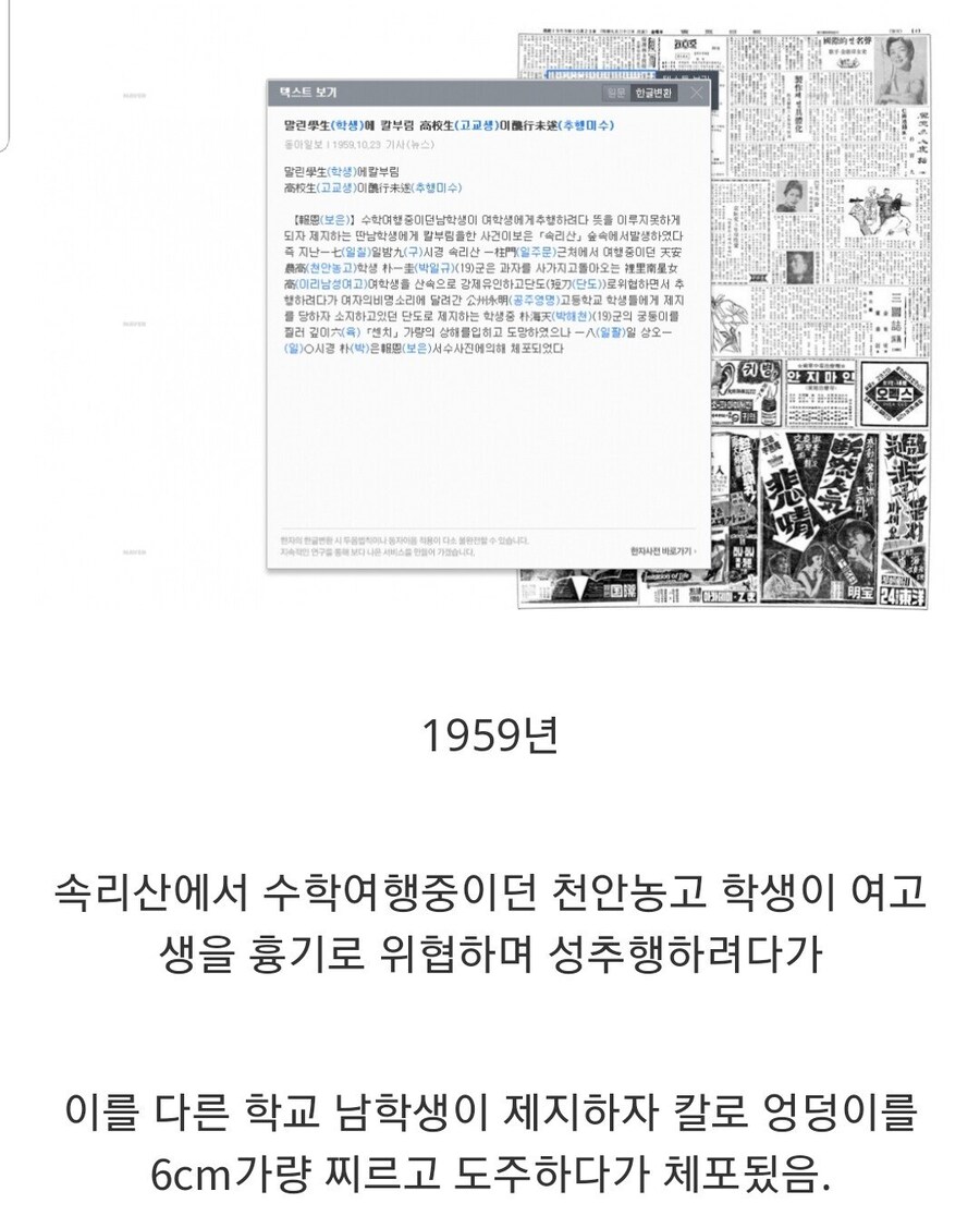 50-60년대 청소년 범죄_10.jpg