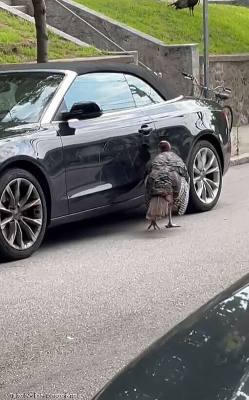 훼손된 차량 주인에 남겨진 황당한 쪽지_2.jpg