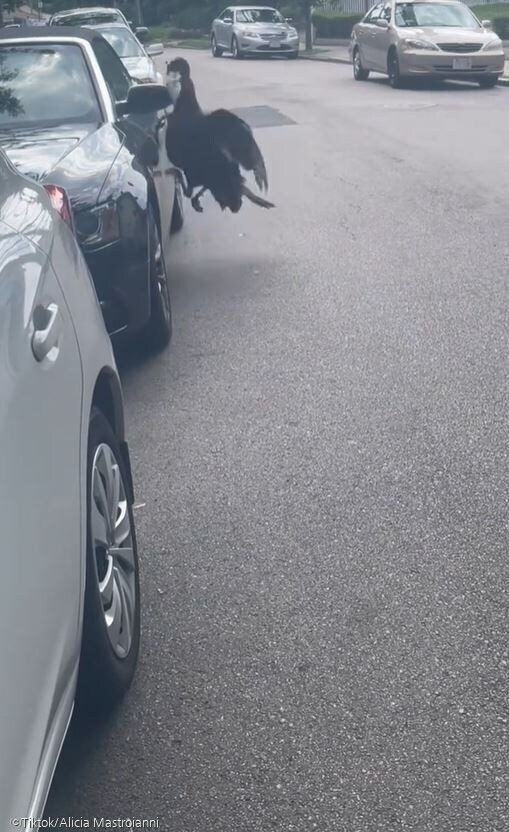 훼손된 차량 주인에 남겨진 황당한 쪽지_3.jpg