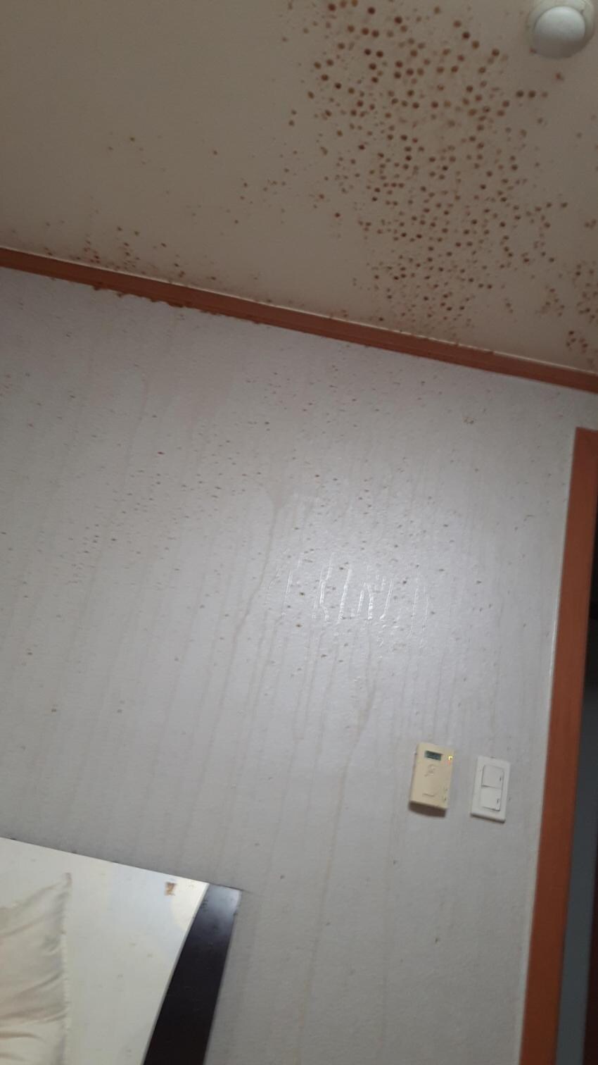 콜라 얼린걸 딴 자의 최후_1.jpg