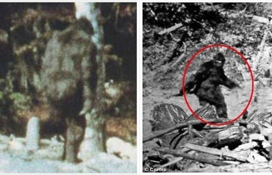 스마트폰 발명 이후 멸종한 생물들.jpg_1.jpg