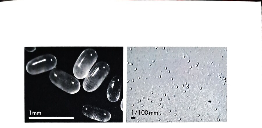 생물의 암수를 구별하는 방법_8.jpg