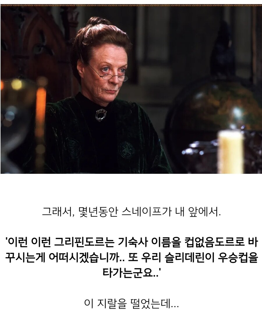 해리포터) 엄격하고 공정하신 맥고나걸 교수님_1.jpg
