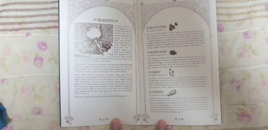 울티마 9 한정판 드래곤 에디션_16.jpg