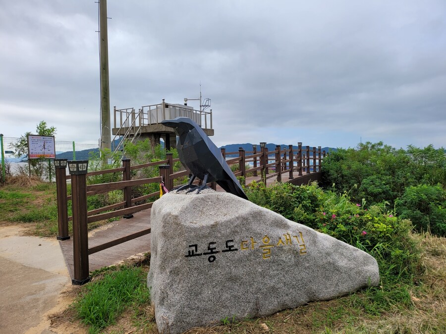 #강화군 교동 나들이_2.jpg