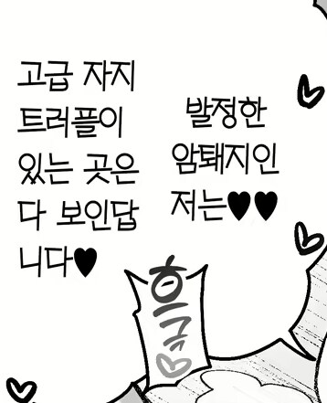 심야상식) 송로버섯은 돼지가 찾는다_2.png