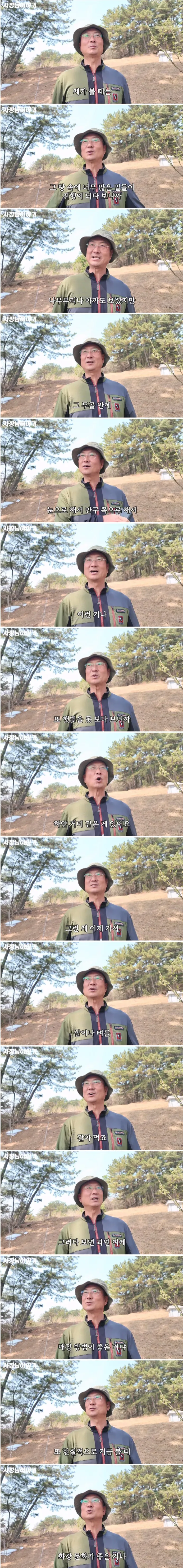 매장 풍습이 자연에 안좋냐는 질문을 받은 전문가의 답변_2.webp