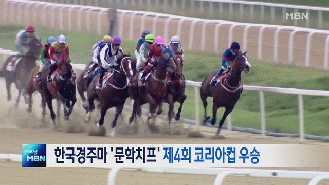 경마) 코리아컵 최초 한국 우승마에 대한 이야기 (장문)_3.jpg