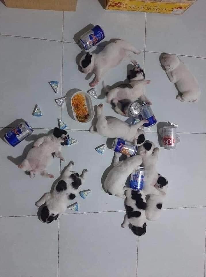 불금이라서 술먹고 개판됨.jpg_2.jpg