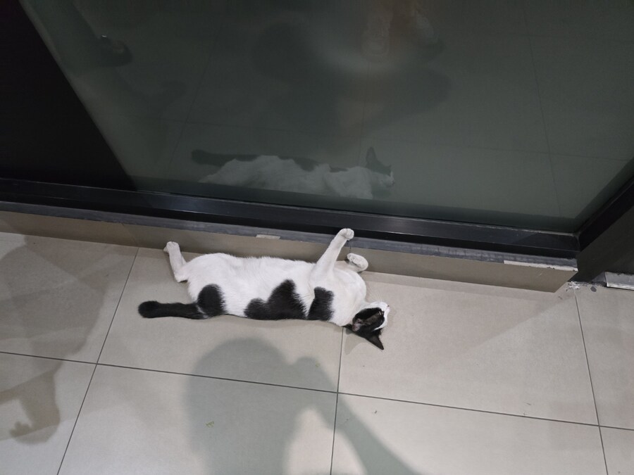 (스압 및 데이터주의!) 인도네시아 19일 여행기 자카르타&족자카르타_33.jpg