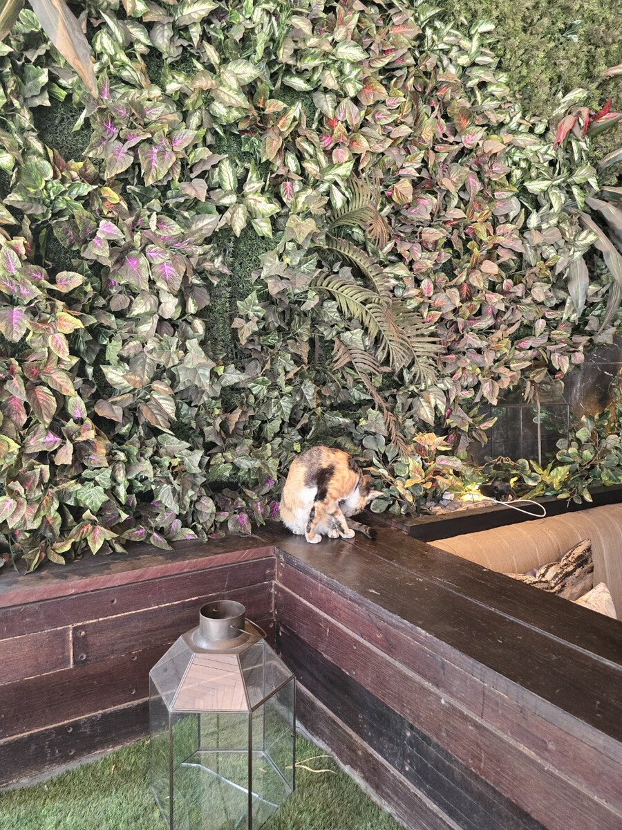 (스압 및 데이터주의!) 인도네시아 19일 여행기 자카르타&족자카르타_50.jpg