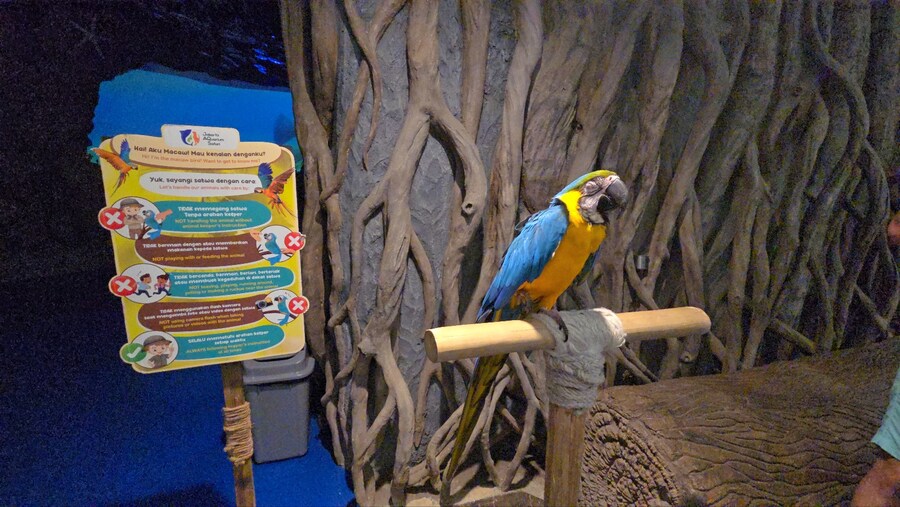 (스압 및 데이터주의!) 인도네시아 19일 여행기 자카르타&족자카르타_52.jpg