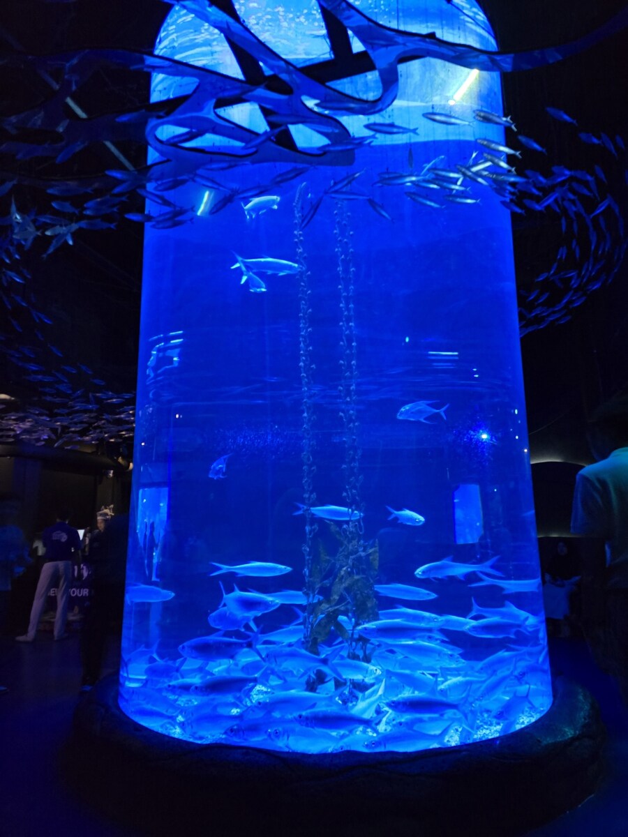 (스압 및 데이터주의!) 인도네시아 19일 여행기 자카르타&족자카르타_53.jpg