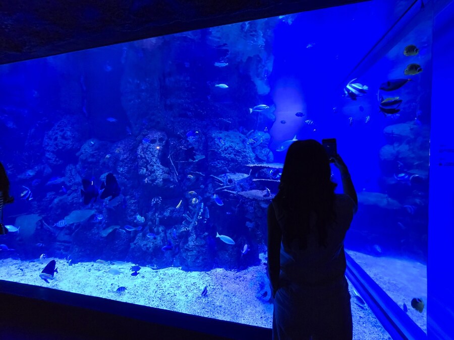 (스압 및 데이터주의!) 인도네시아 19일 여행기 자카르타&족자카르타_54.jpg