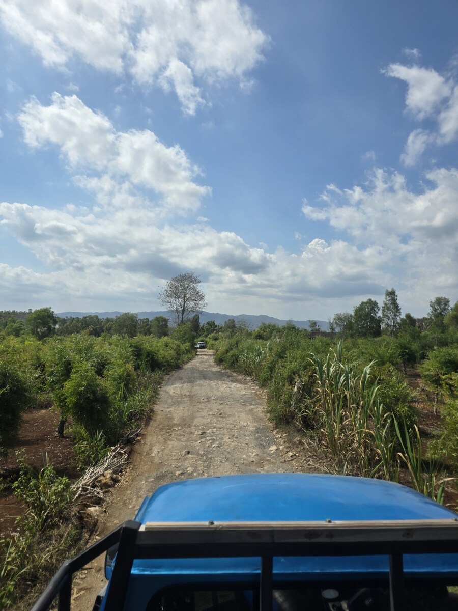 (스압 및 데이터주의!) 인도네시아 19일 여행기 자카르타&족자카르타_181.jpg