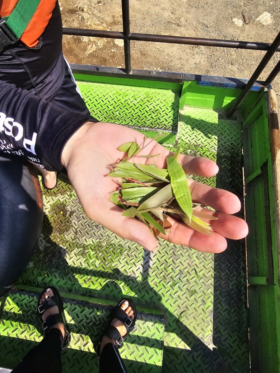 (스압 및 데이터주의!) 인도네시아 19일 여행기 자카르타&족자카르타_182.jpg