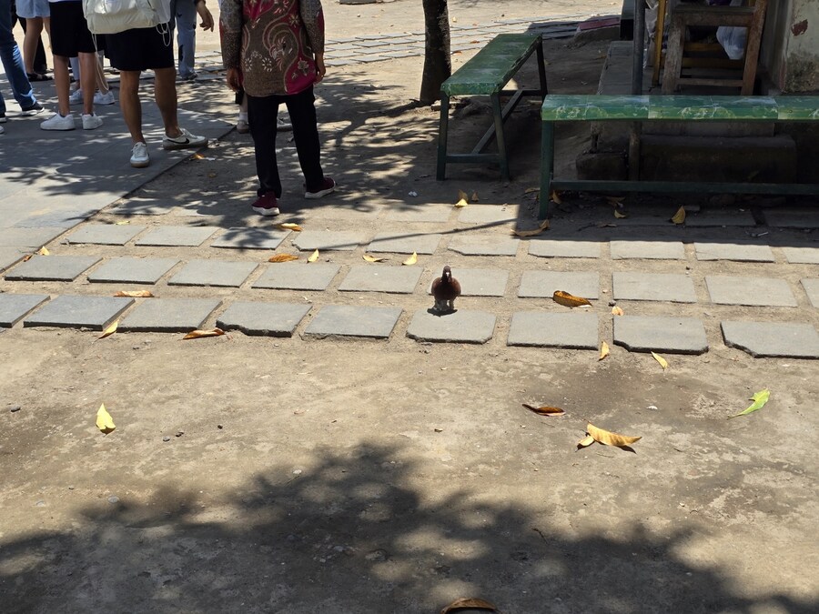 (스압 및 데이터주의!) 인도네시아 19일 여행기 자카르타&족자카르타_219.jpg