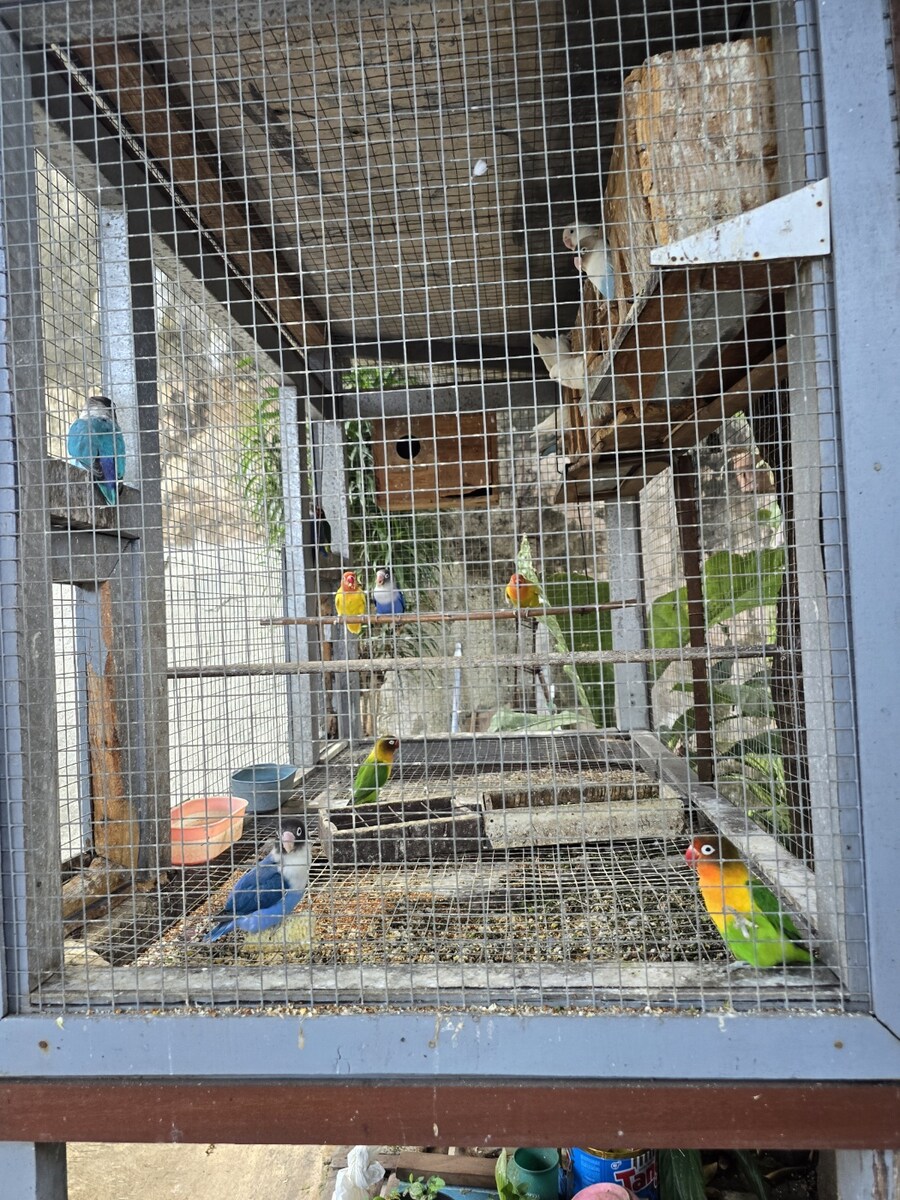 (스압 및 데이터주의!) 인도네시아 19일 여행기 자카르타&족자카르타_224.jpg