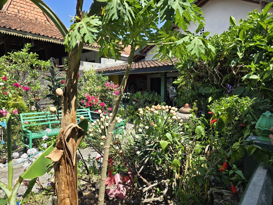 (스압 및 데이터주의!) 인도네시아 19일 여행기 자카르타&족자카르타_231.jpg