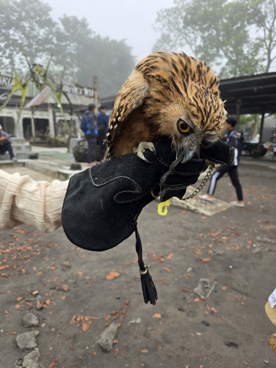 (스압 및 데이터주의!) 인도네시아 19일 여행기 자카르타&족자카르타_143.jpg
