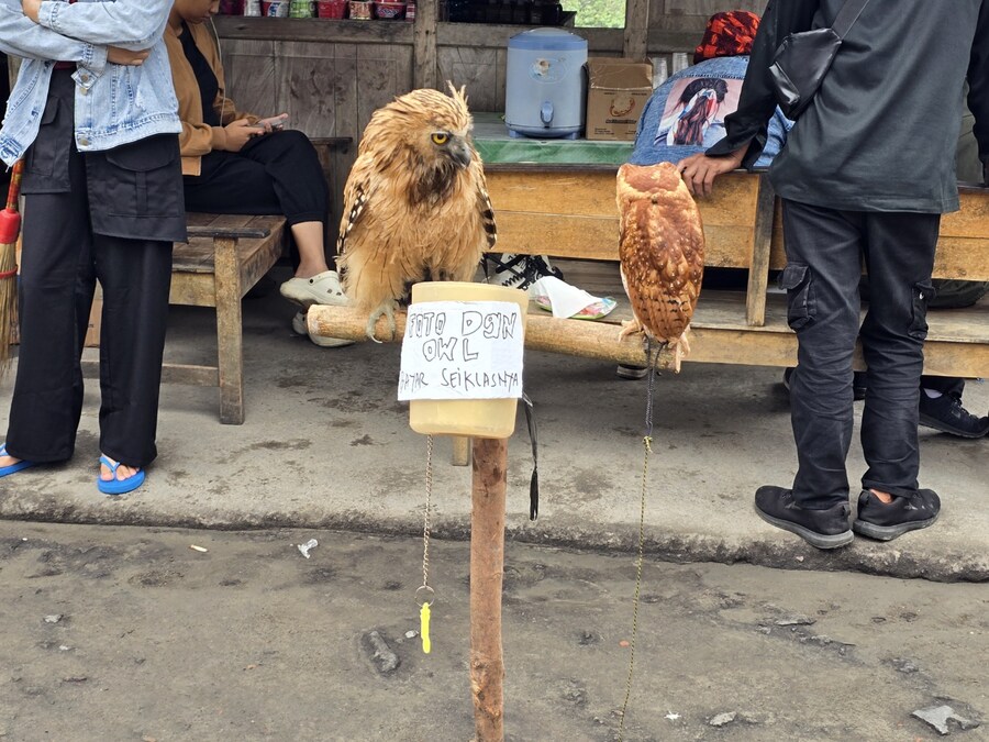 (스압 및 데이터주의!) 인도네시아 19일 여행기 자카르타&족자카르타_141.jpg