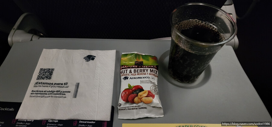 아에로멕시코를 타고 멕시코시티를 구경하고 왔습니다.(사진 30장)_26.jpg