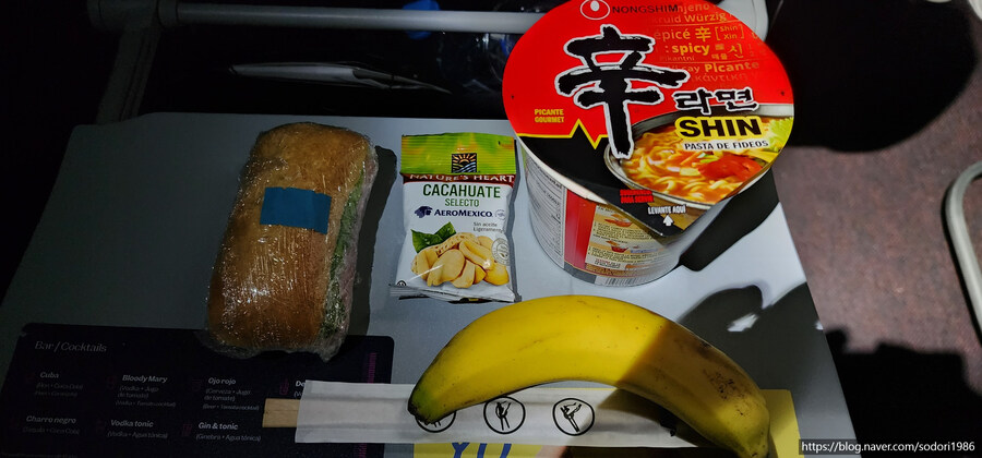 아에로멕시코를 타고 멕시코시티를 구경하고 왔습니다.(사진 30장)_28.jpg