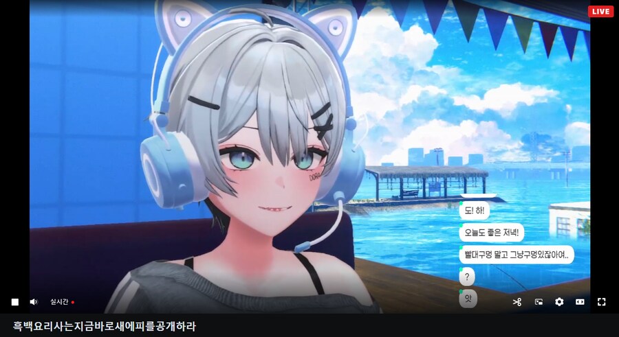 버튜버) 도라점장 : 나는 ㄹㄹㅋㅍ에 가기 힘들다._1.png