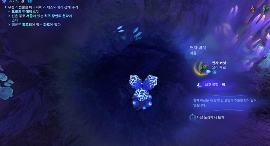 현자 버섯 우월 위치 공유_1.jpg