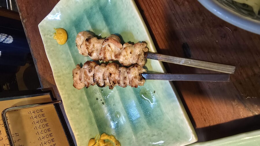 일본여행 6일차 한일부부 카스카베->도쿄_56.jpg