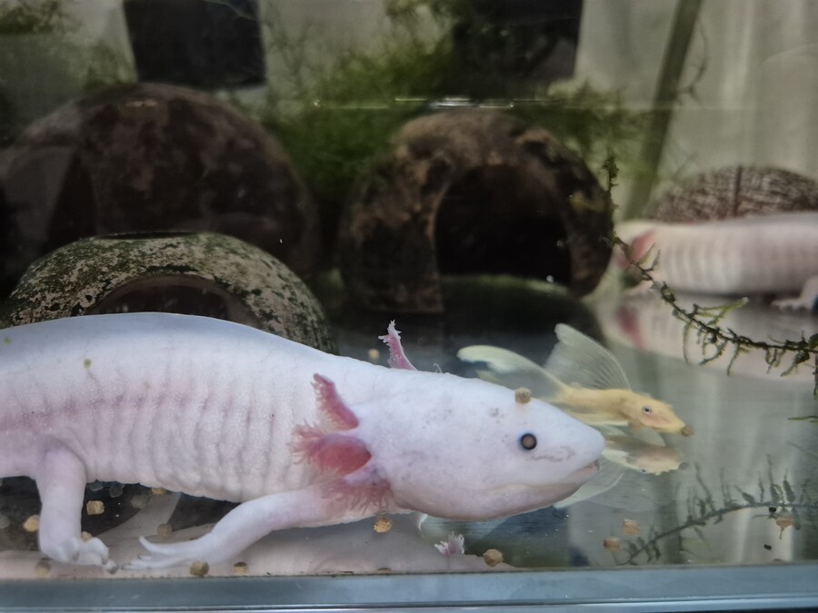 수조)밥먹는 헌바_1.jpg