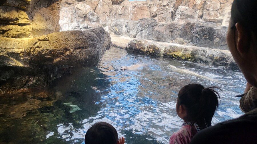 오사카 간사이 여행(2024.09.22~09.27) 4일차_16.jpg