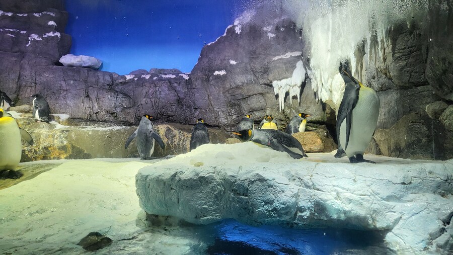 오사카 간사이 여행(2024.09.22~09.27) 4일차_17.jpg