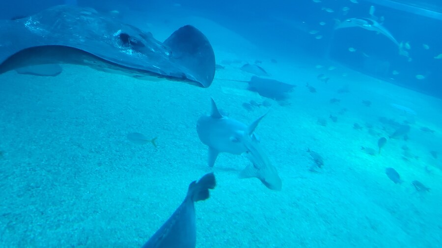 오사카 간사이 여행(2024.09.22~09.27) 4일차_20.jpg