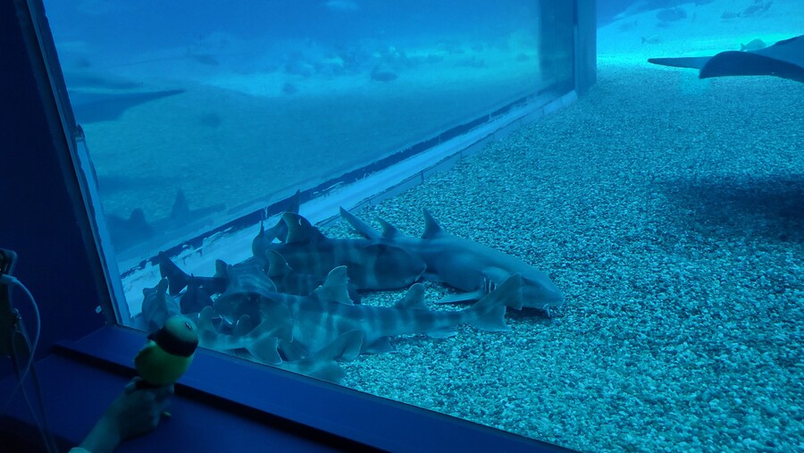 오사카 간사이 여행(2024.09.22~09.27) 4일차_22.jpg