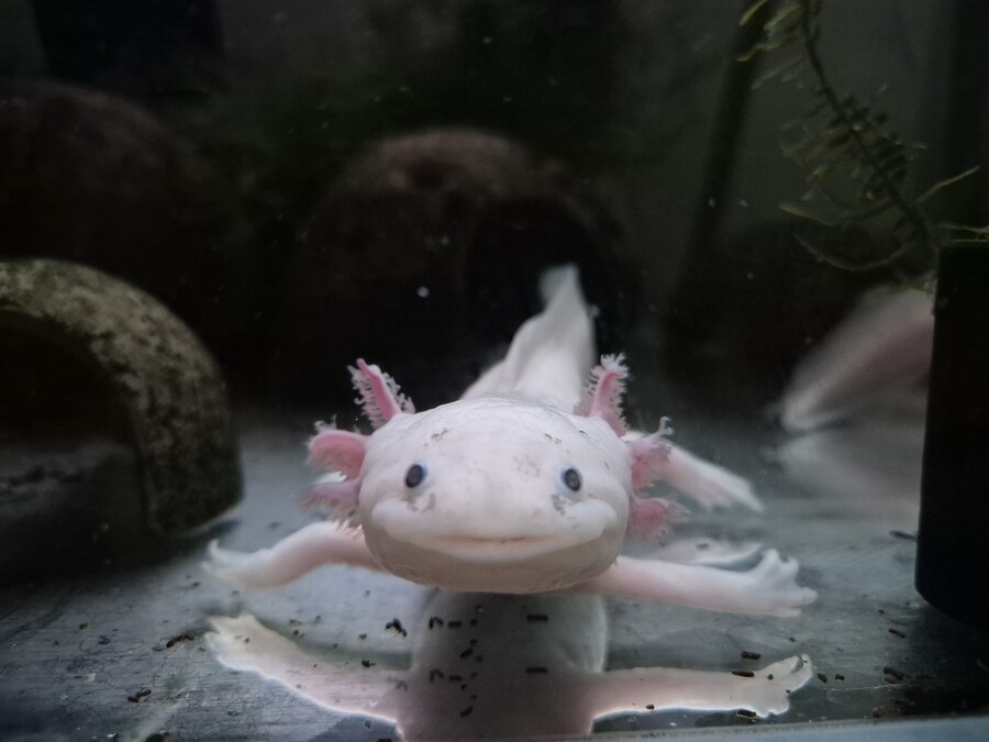 수조)바라보는 헌바_1.jpg