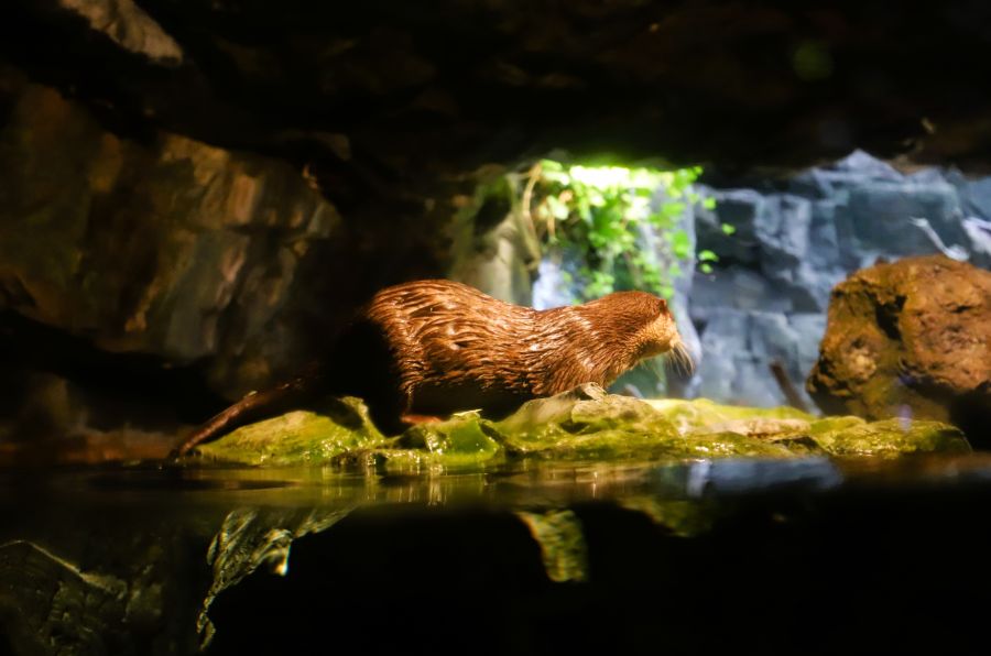 10박11일 오사카 교토 여행1(스압)_18.jpg