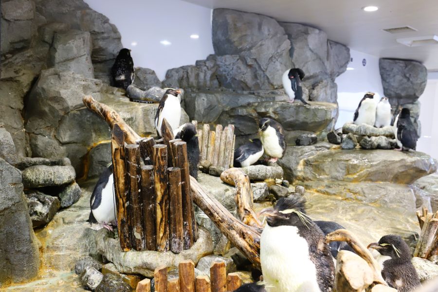 10박11일 오사카 교토 여행1(스압)_36.jpg