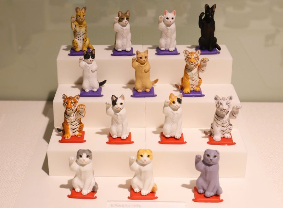 10박11일 오사카 교토 여행1(스압)_78.jpg