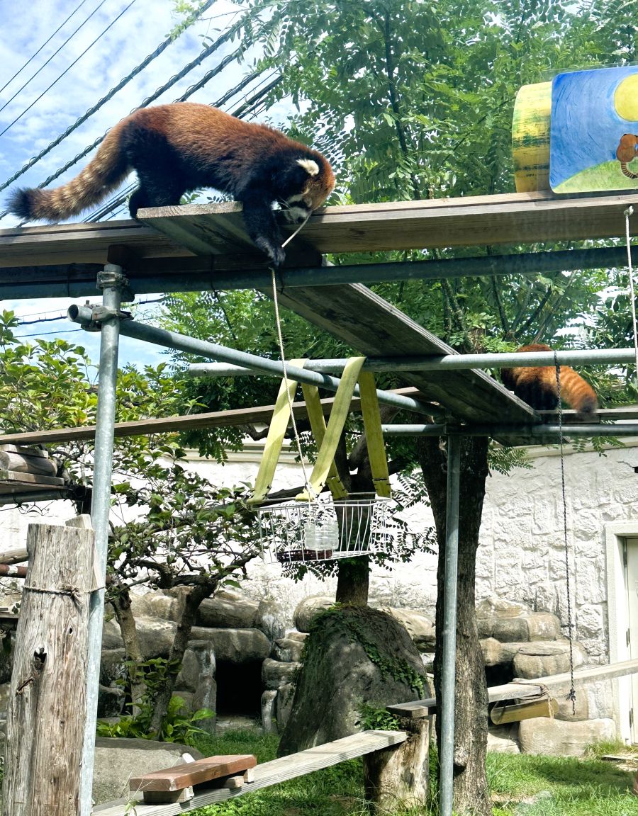 10박11일 오사카 교토 여행4_27.jpg