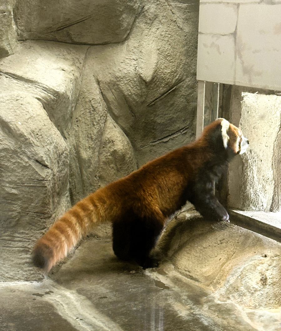 10박11일 오사카 교토 여행4_30.jpg