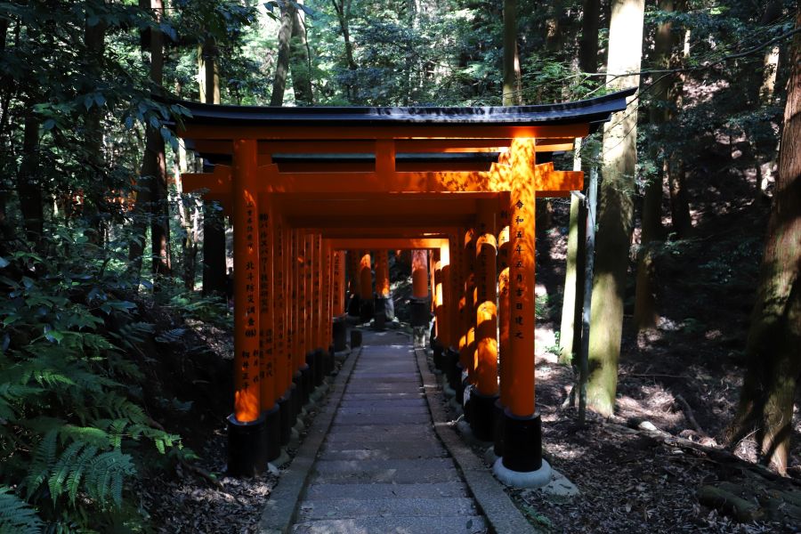 10박11일 오사카 교토 여행5_37.jpg